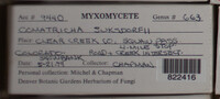 Image Associated With the Occurence